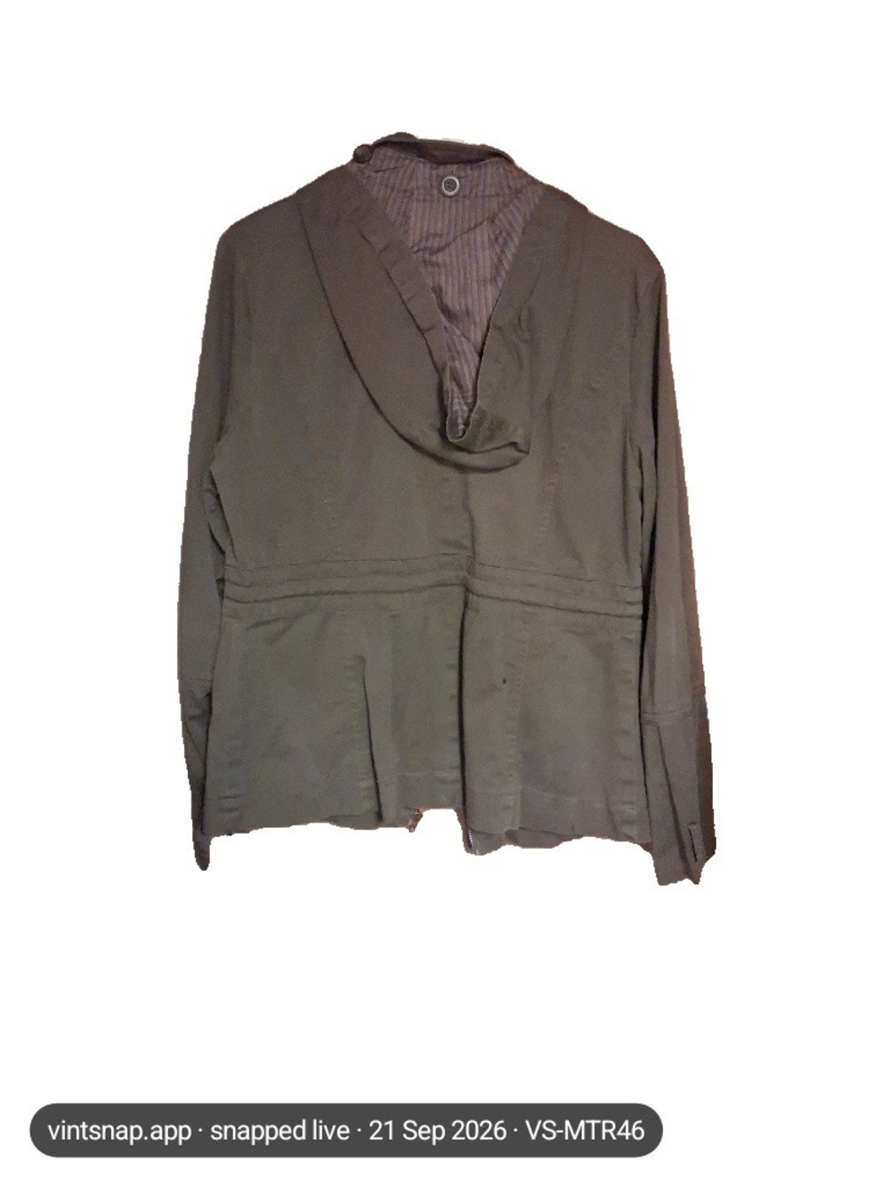 American Eagle Outfitters Olive Green Hooded Jacket